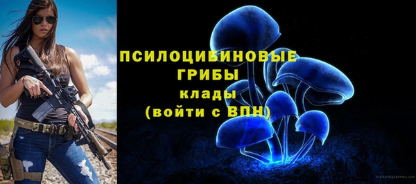 2c-b Абдулино
